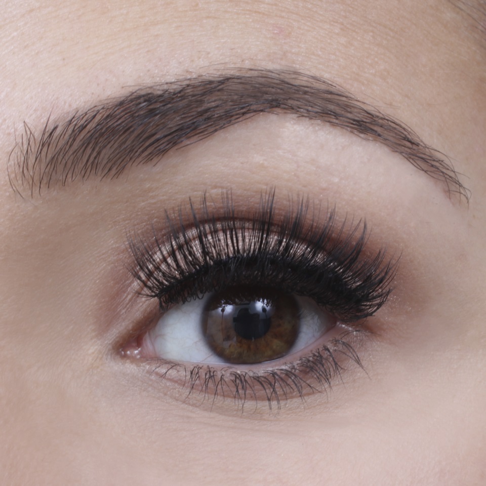 Lash Perfect In a Strip #3 