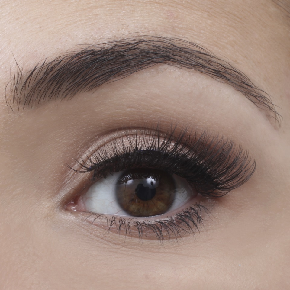 Lash Perfect In a Strip #5 